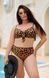 Роздільний леопардовий купальник PLUS SIZE з твердими чашками 9372 фото 2